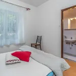 Gorgeous In With Wifi Apartament *